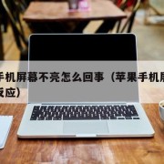 苹果手机屏幕不亮怎么回事（苹果手机屏幕不亮没反应）
