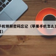 苹果手机锁屏密码忘记（苹果手机怎么密码锁屏设置）
